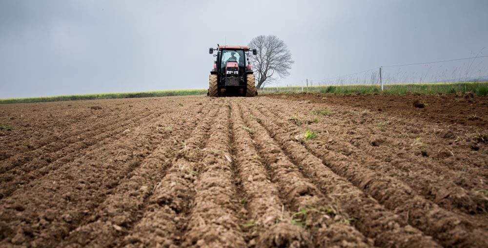 Prodotti e servizi agricoli a Rovereto