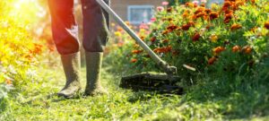 Vendita attrezzature agricole a Rovereto