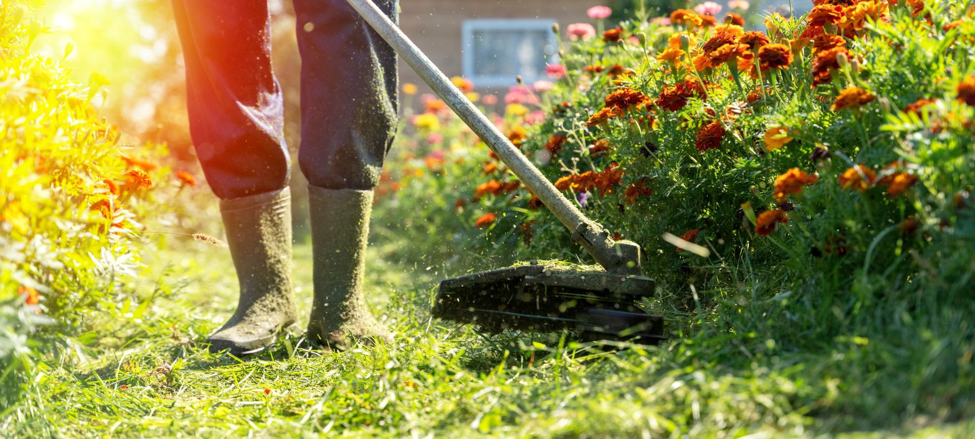 Prodotti e servizi agricoli a Rovereto